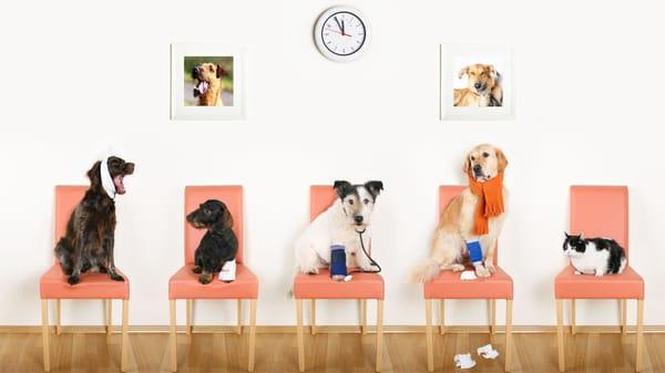 Omro Animal Hospital