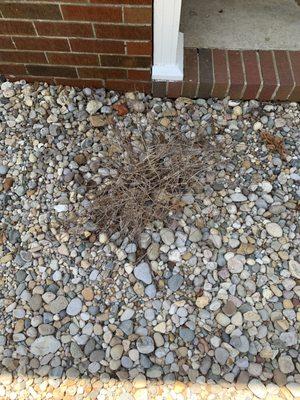 Unique Designs Nursery & Landscaping