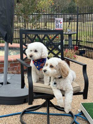 Hays Veterinary Hospital