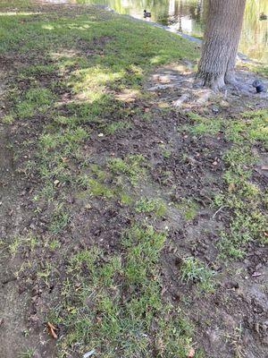 Spanish Trail Fittness Center