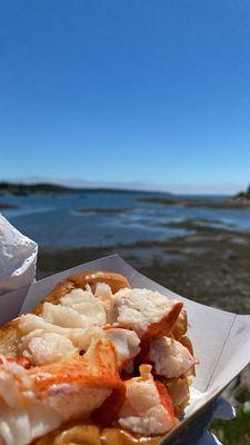 Lobster roll that I took across the street and ate on a bench facing the water!