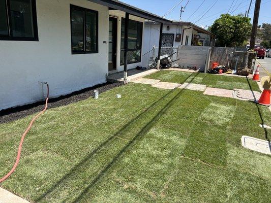 Green View Landscape