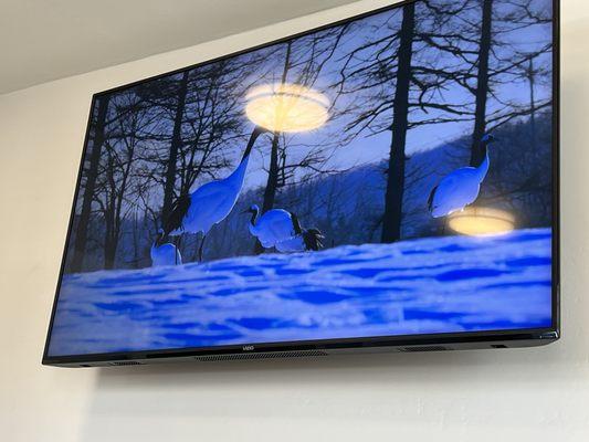 Picture on TV screen in lobby.