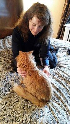 Critterfixer's Mobile Veterinary Care