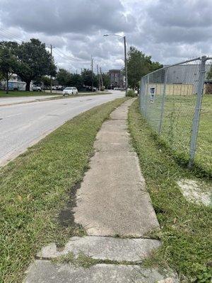 Alvarado Landscaping Services