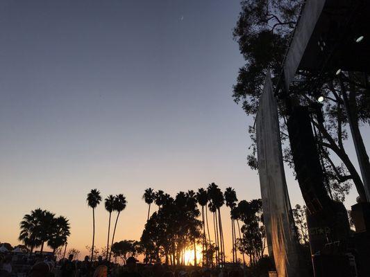 Sunset
