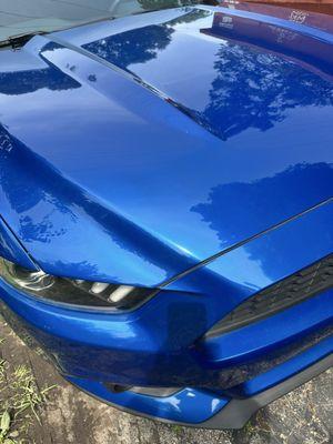 Custom Collision Experts