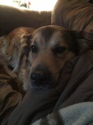 Seville Wadsworth Veterinary Clinic