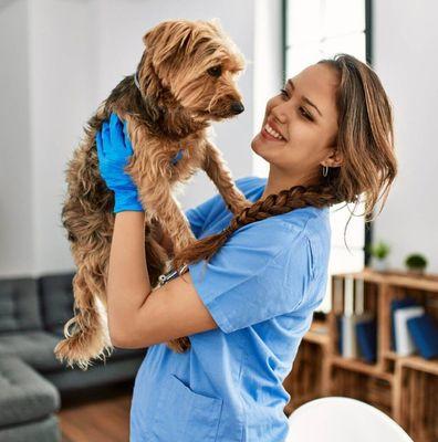 Aziz Home Assistance