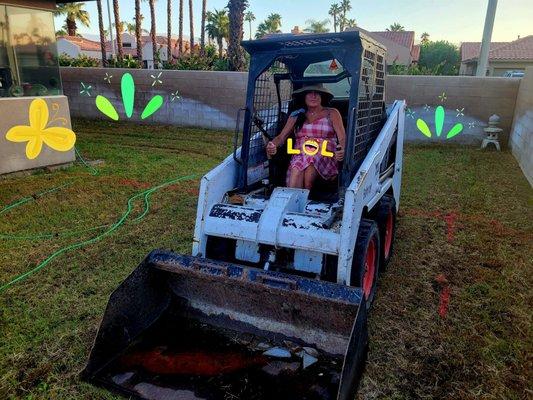 Purrfect Pool and Construction