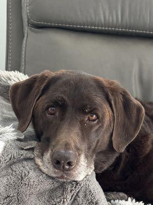 My happy, sweet boys