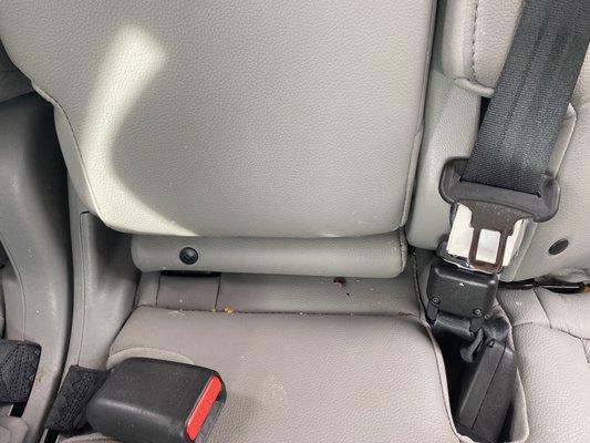 Premier Express Car Wash Easley