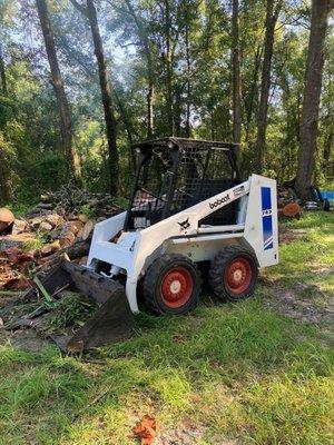 Always Honorable Tree Surgeon