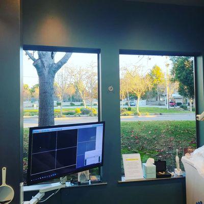 Seabreeze Dental Group