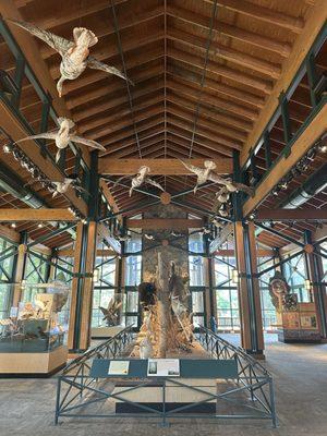 Lichterman Nature Center