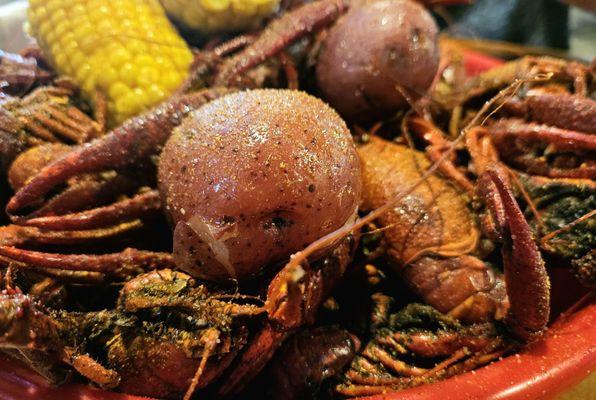 Bluewater Seafood - Spring