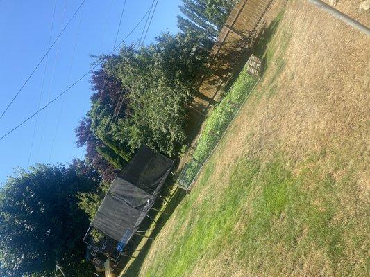 Pena Landscaping and Cleaning