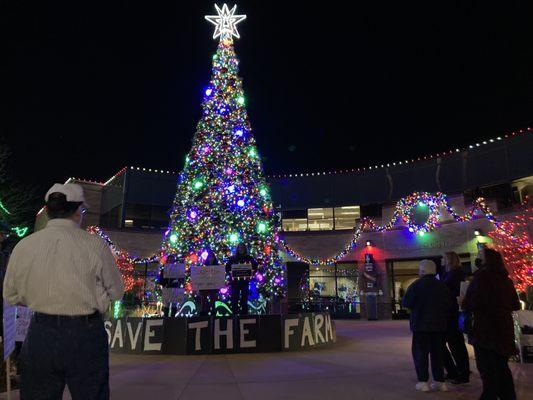 Westminster City Government