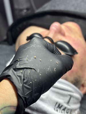 Willow & Stone Aesthetics