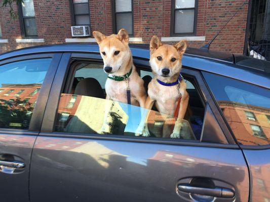 Trixie's Pet Food Supplies & Accessories