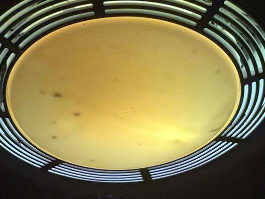 Dead bugs in shower light