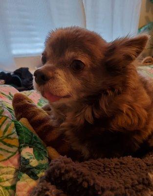 Hope Springs Veterinary at Pembroke