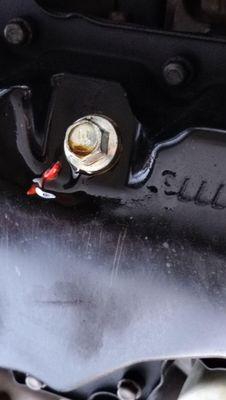 Leaking straight from the oil pan. No denying.