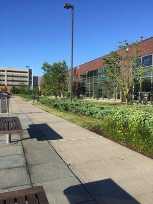 Science Park At Yale