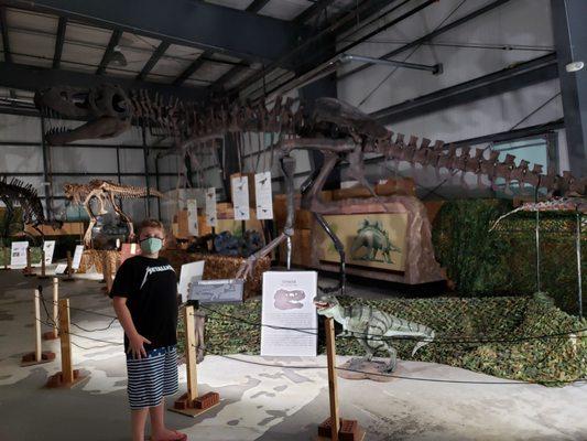 My son and a t-rex.