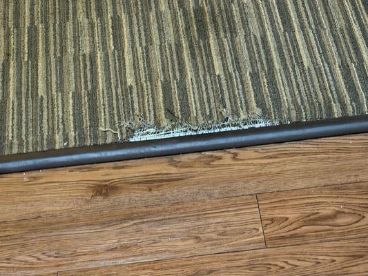 Greenstay torn carpet