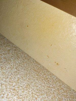 Laniya cleaning service