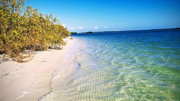 Blue Water Kayak Tours