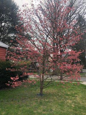 Iglesia Evangelica El Refugio