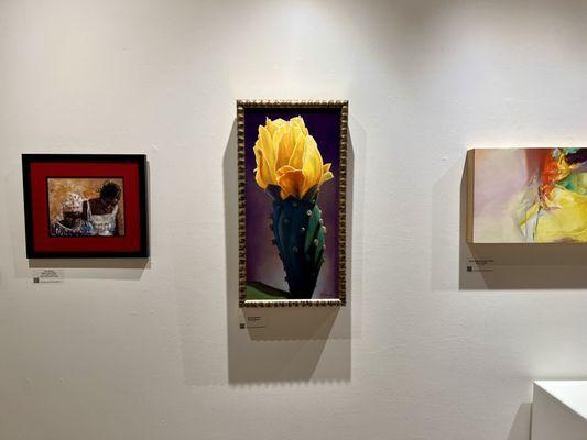 Studio Channel Islands