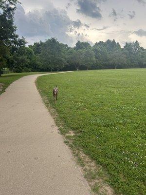 Two Rivers Skate Park