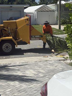 Mignano Lawn Care & Landscaping