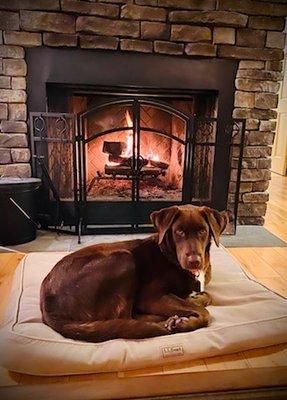 Veterinary Care of Mount Pleasant