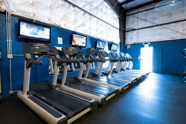 All Sport Fitness Center