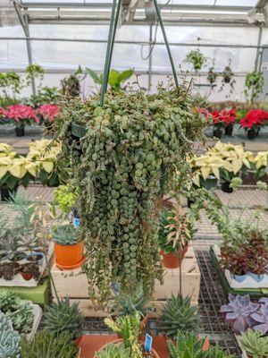 River Street Flowerland