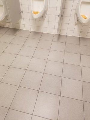 Sosa Commercial Maintenance