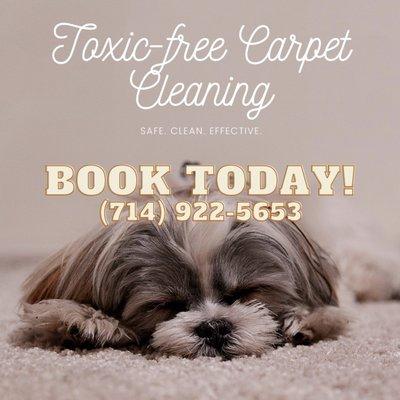 California Steam Company