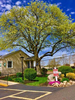 Michael L. Bydalek, DMD