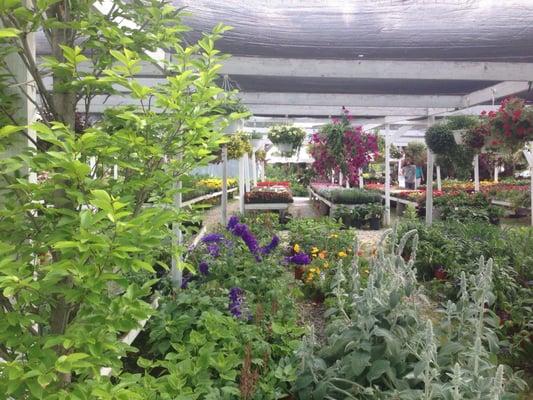 Floyds Fruit & Flowers