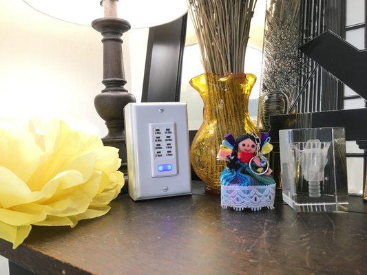 Siren Song Enterprises