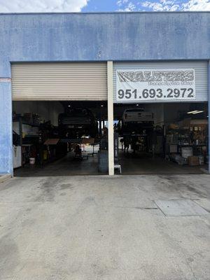 It's like Jurassic Park at Walter's