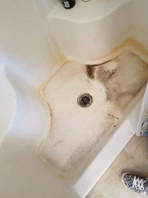 Great Lakes Cleaning