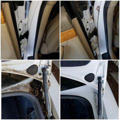 Before and after pictures of these door jambs during an Obsessive interior and exterior detail.