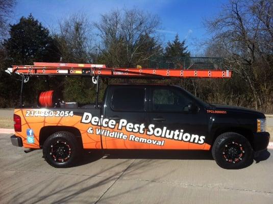 Deice Pest Solutions and Wildlife Removal