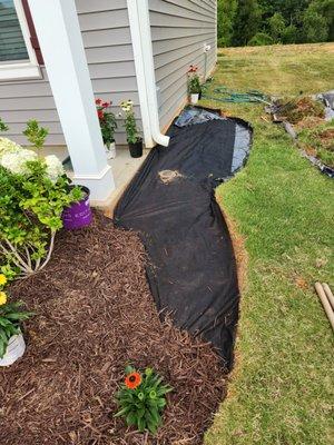 Amazing transformation.