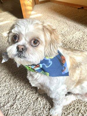 Riley Ren fresh and clean!